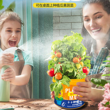 ��ͯȤζ���� DIY�Y��С�W���׃��@�ƌW������b��ݮֲ���^��Nֲ