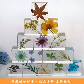 标本;创意礼品套装;树脂工艺品