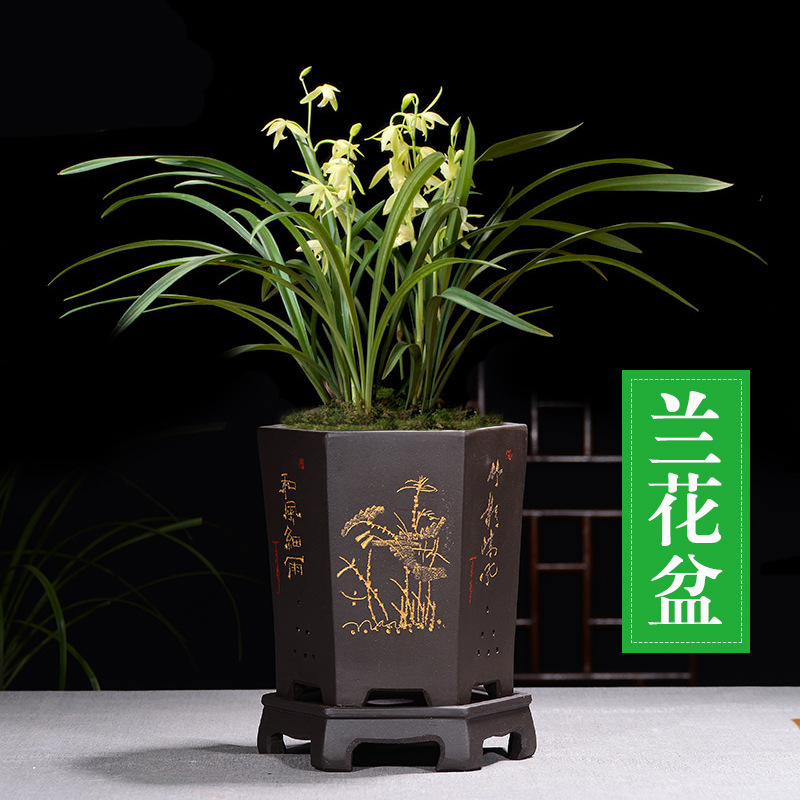 Yixing Zisha flower pot, simple and breathable orchid pot, clivia pot, bamboo pot for indoor succulent plants, with tray