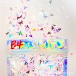 美甲亮片 五角星 圆形 月亮 蝴蝶 闪粉 欢迎定制