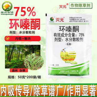 ��ɽ��Ԫ75%�h�ͪ�����s��ľɭ�ַ����75%�hຆL�������݄��rș