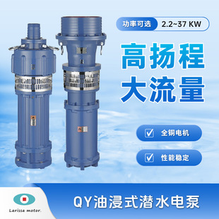 Qy Oil-Immersed Submersible Electric Pump High-Lift Irrigation Water Pump Pumping Sprinkler Drip Irrigation Drainage Large Flow Submersible Pump