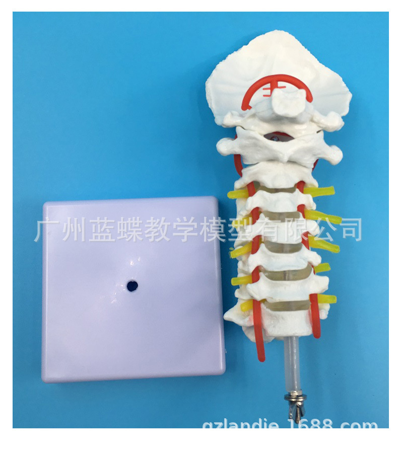 详情_09.jpg