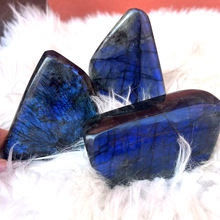 RdNħ{ȻLʯ[S͒ {¹[Ʒ|