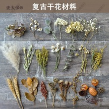 ���͹��L�ɻ����ϡ���֦��ֲ��˱����diy��ˇ��������W��̫��