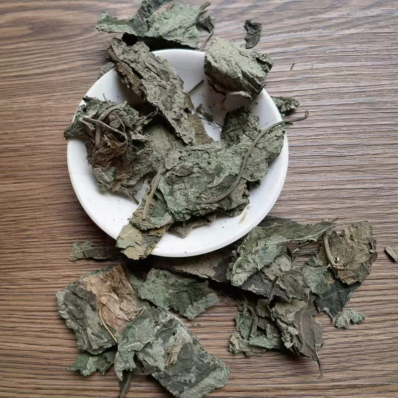Dried Paper Mulberry Leaves Chu Tao Ye Bulk Herbal Tea Leaves Traditional TCM Botanical specifications