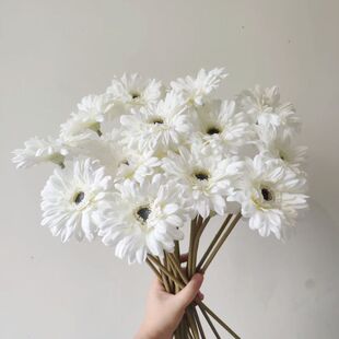 ���滨��֧���ɻ��Ƶ���޾ռٻ��nʽ���ɾս���С�r�����l���� [