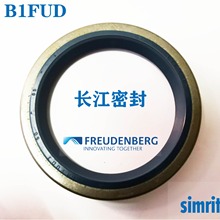 A CFW 1 FUD6X2 -175-200 ��SIMRITԭ�S��Ʒ�M�ڹǼ��ͷ� �{ɫ