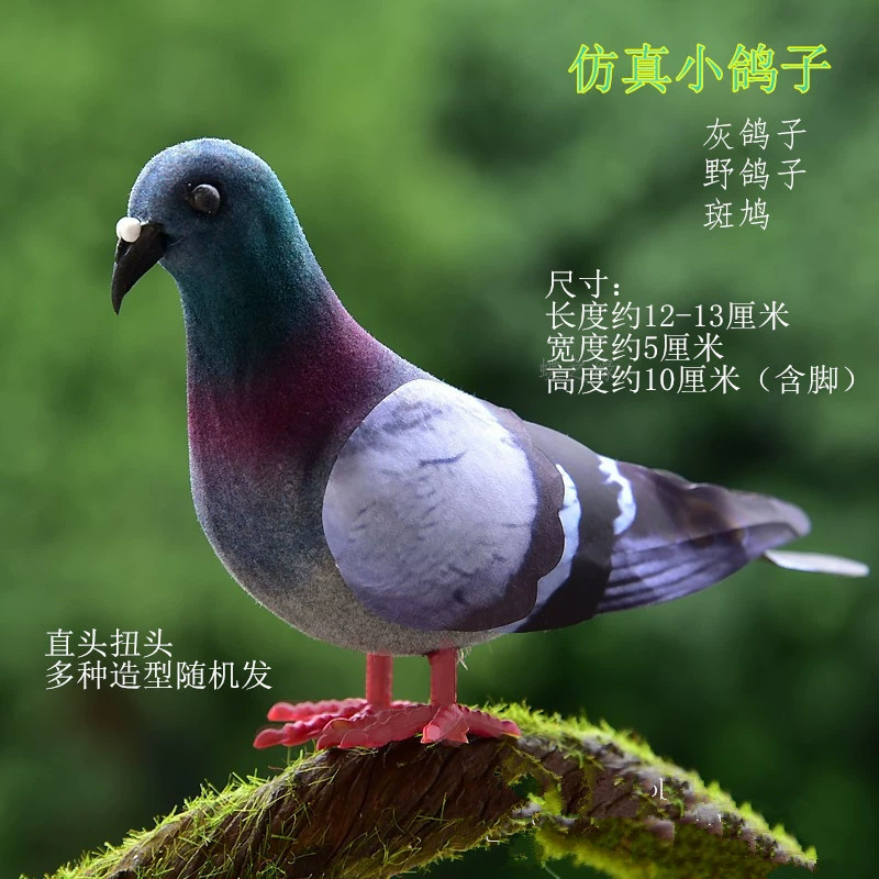 Модельная маленькая серая голубь-кукла Wild Pigeon Flower Pigeon Поддержка фотографии игрушечная реквизит 教学 aid 模拟 птица