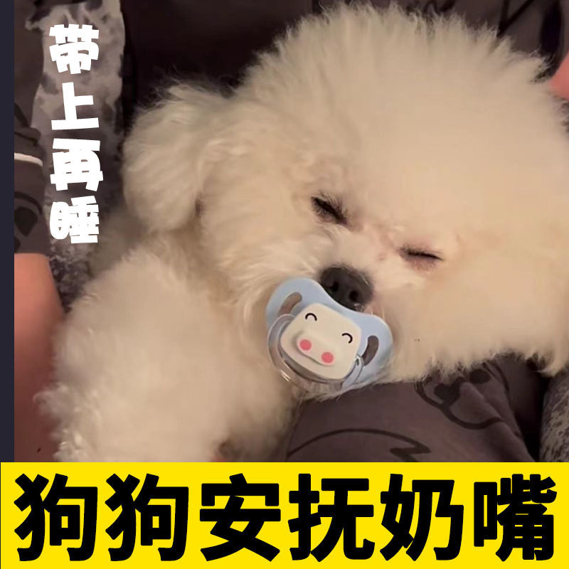 Special Pacifier for Bichon Frise Dogs, Soothing Toy for Puppies, Pet Supplies, Weaning, Small Puppies, Chew Toy for Self-Entertainment