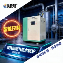 全预混冷凝燃气热水锅炉室内供暖商用免证天然气热水锅炉供暖设备