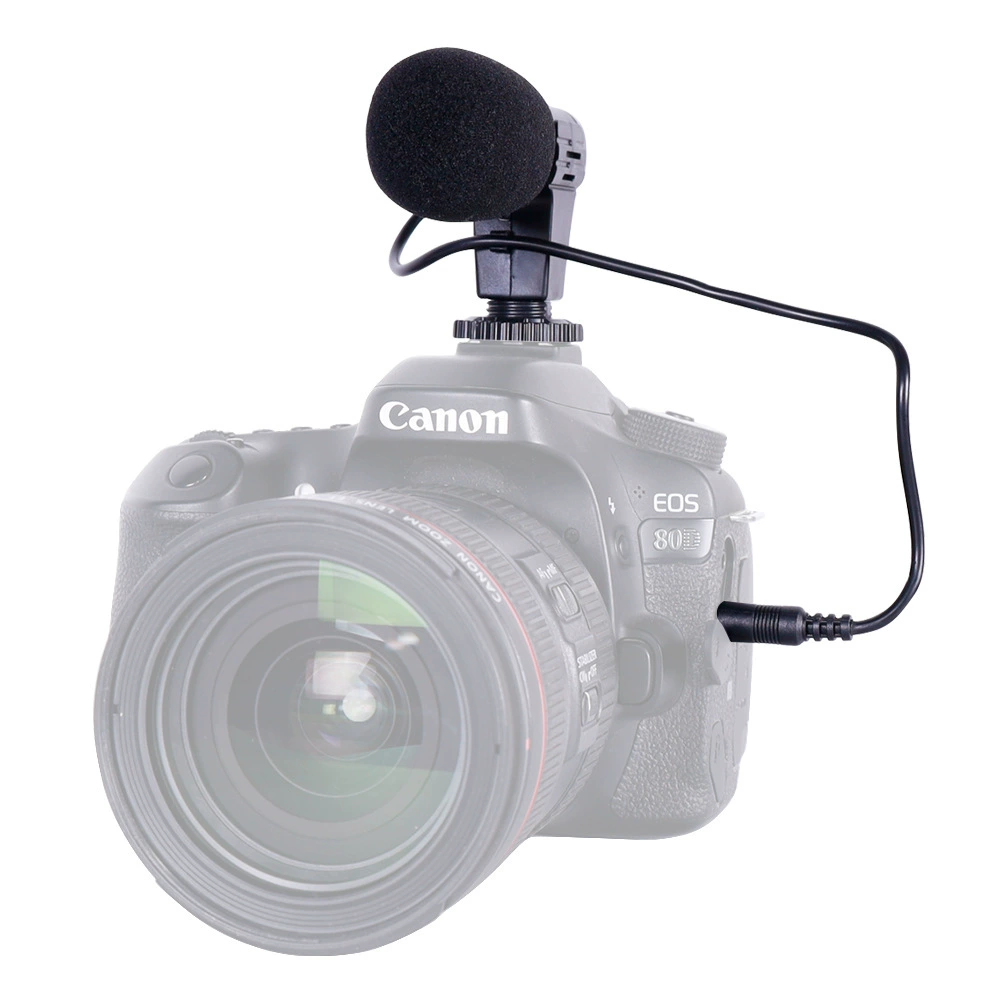 CCTV camera, microphone, mobile phone