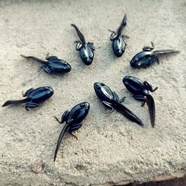 其他垂钓用品;垂钓椅;太空豆