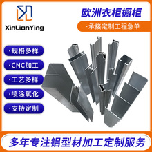 定制橱窗橱柜型材 家具橱柜铝型材门窗建设材料推拉窗铝型材