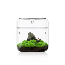 微景观玻璃罩生态苔藓植物办公室创意微观盆栽盆景玻璃迷你露集杯