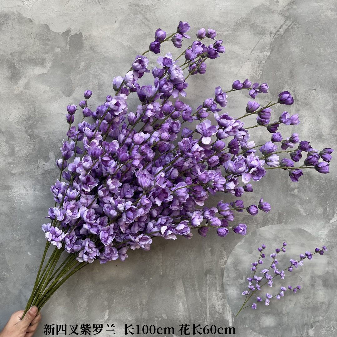 보라색 4갈래 제비꽃