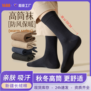 Autumn and Winter Socks for Men, Mid-Length, Antibacterial, Business Style, Sweat-Absorbent, 2025 New Popular Model, Wholesale from Zhuji Source Factory