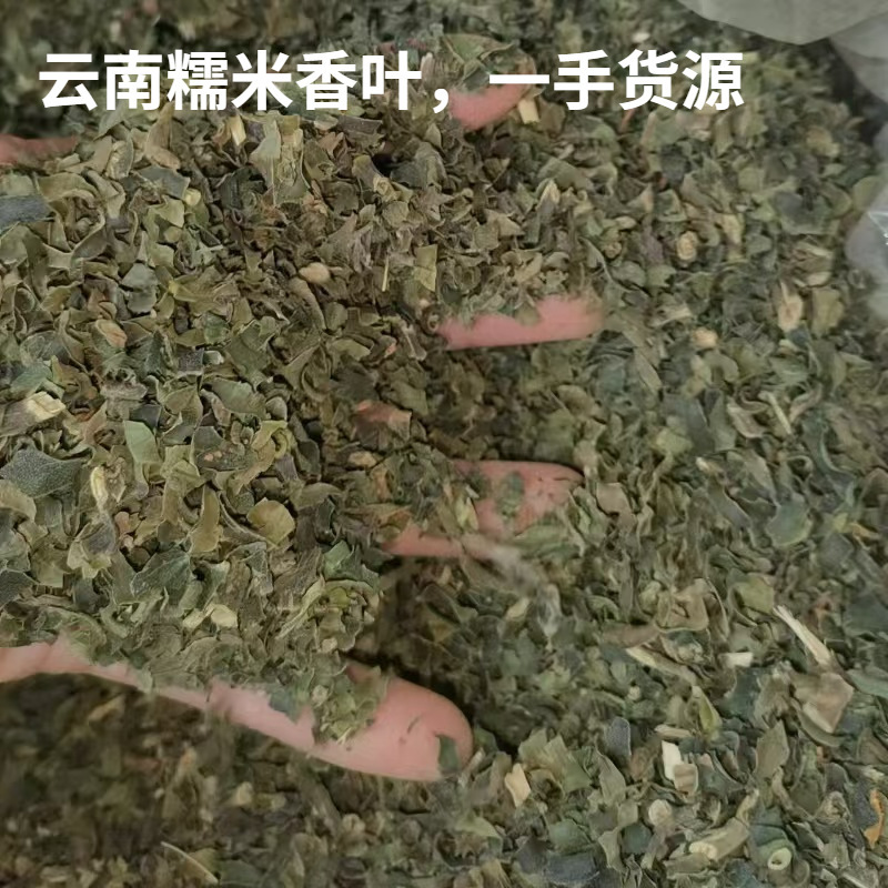 Glutinous Rice Fragrant Leaves Yunnan 2025 Pure Leaf Pu'Er Tea Companion Loose Tea Large Leaf Tea Lemon Substitute Tea Flower Tea Specialty Glutinous Rice Fragrant Leaves Yunnan 2025 Pure Leaf Pu'Er Tea Companion Loose Tea Large Leaf Tea Lemon Substitute Tea Flower Tea Specialty