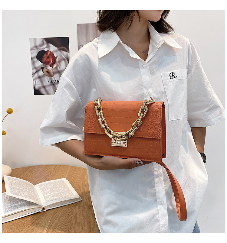 Fashion Fashionable Small Square Bag 2021 Spring And Summer New Chain Women's Bag Shoulder Crossbody Small Handbags One Piece Dropshipping display picture 13