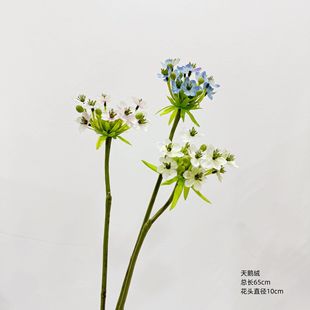 �������Z�q �����a֮�� �Ҿ��bٻ���cܛ�bϵ�������������Z�q