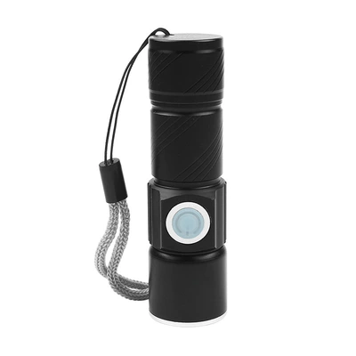 Flashlight, UV fənərlər
