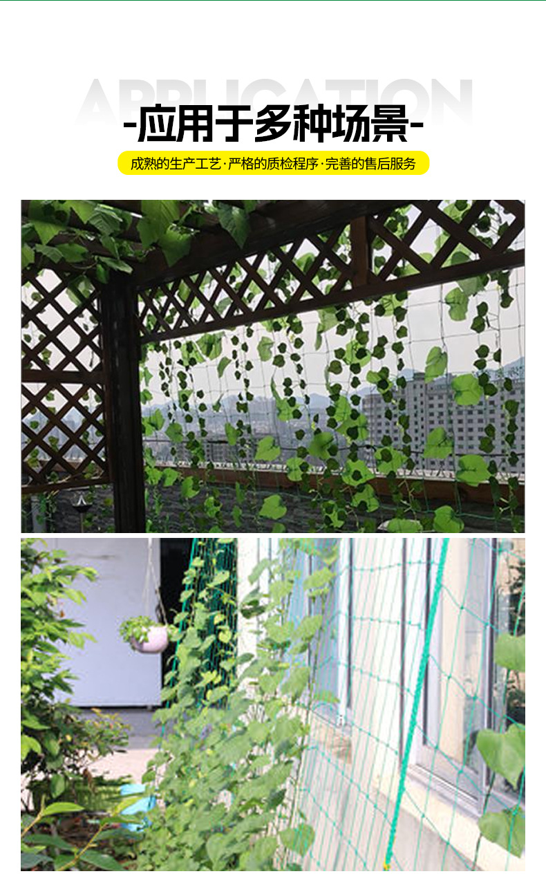 详情_08.jpg