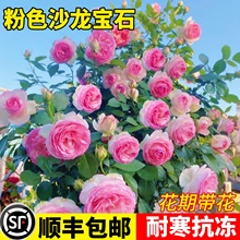 ɫɳʯNޱٱ¼شֲ༾_õ