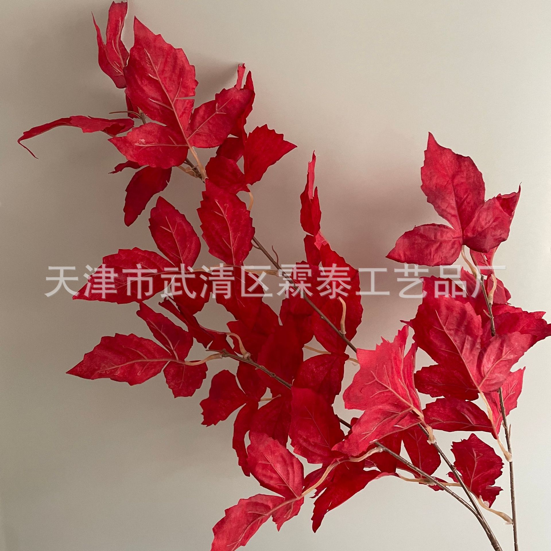 레드