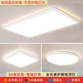 吸顶灯;吊灯;风扇灯