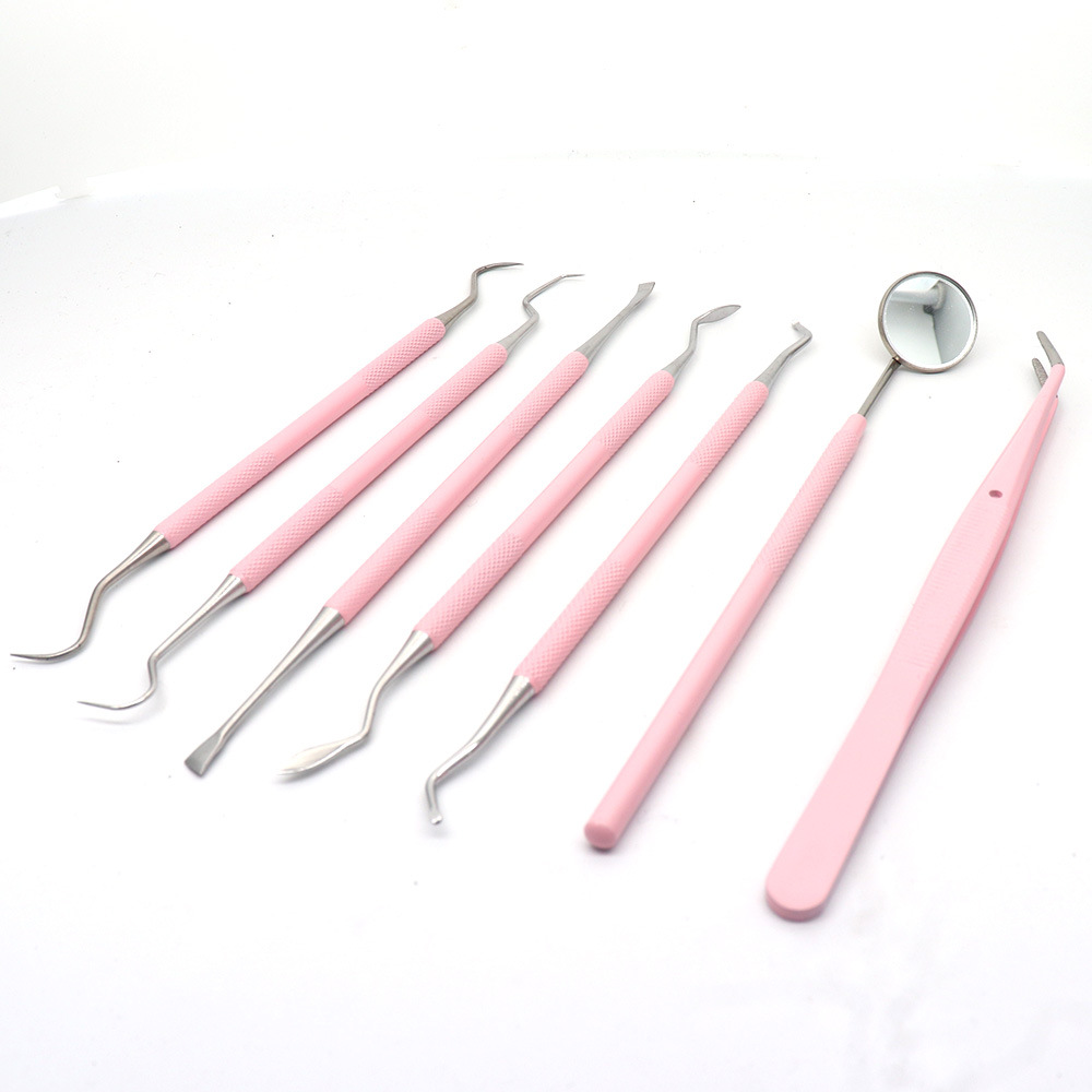 Stainless steel pink oral cleaning tool Oral care set Oral mirror…