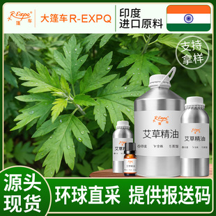 ���ݾ��Ͱ���Mugwort����܇ԭ�����l�����o������܇����