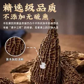 银耳;羊肚菌;黑木耳