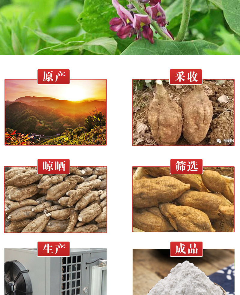 Kudzu Root Powder (Pueraria lobata) — Cooked Food-Herb Powder from Dabie Mountains, 500g specifications