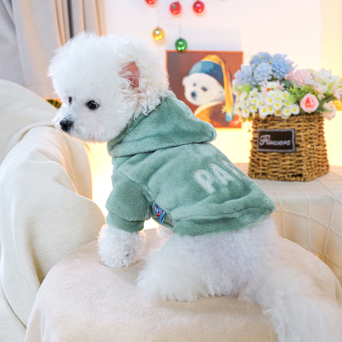 PETCIRCLE 펫 서클 펫 옷 강아지 고양이 옷 옷 플란넬 그린 파리 맨투맨