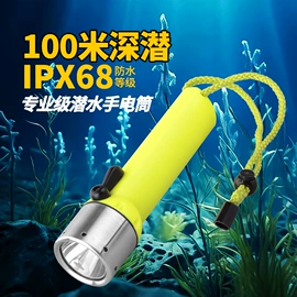 手电筒;提灯;其他照明电筒