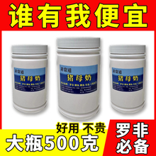 台湾猪母奶不死窝钓鱼小药罗非饵料窝料添加剂粉末高浓度黑超凡凡