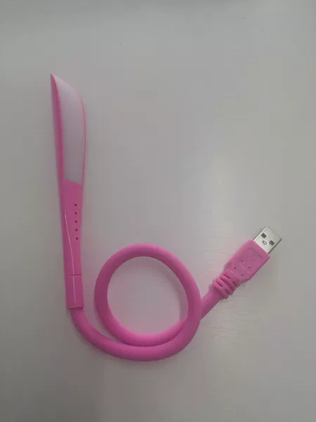 Fuchsia