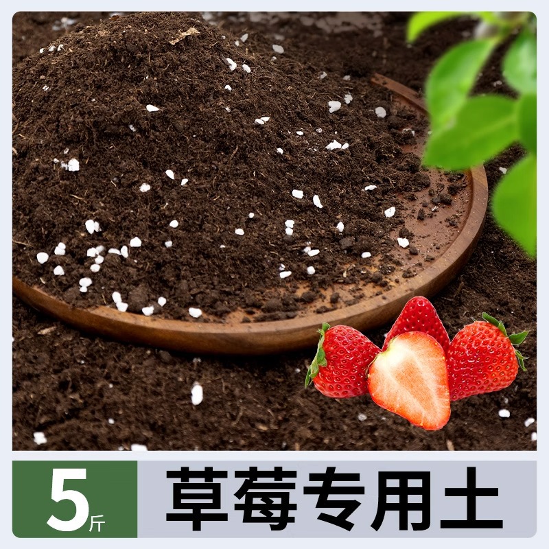Special soil for strawberries 2.5kg (limited to one piece)