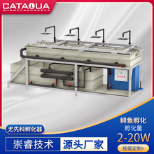 尤先科鱼卵孵化器  鲟鱼三文鱼孵化设备 水处理恒温孵化系统