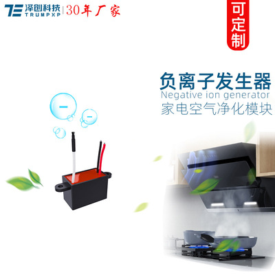 泽创TRUMPXP负离子发生器DC12V家电消烟降尘空气净化负离子创普