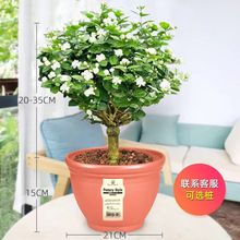 ���������Ϙ����U�d�ӻ��҃��̨���Bֲ���ذ껨���ļ��Gֲ