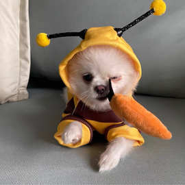 狗狗衣服秋冬雪纳瑞泰迪小型幼犬猫猫咪宠物衣服卫衣蜜蜂变身装