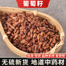 中药材葡萄籽新疆葡萄子籽纯葡萄籽粉炒熟籽类粉花青素中药粉批发