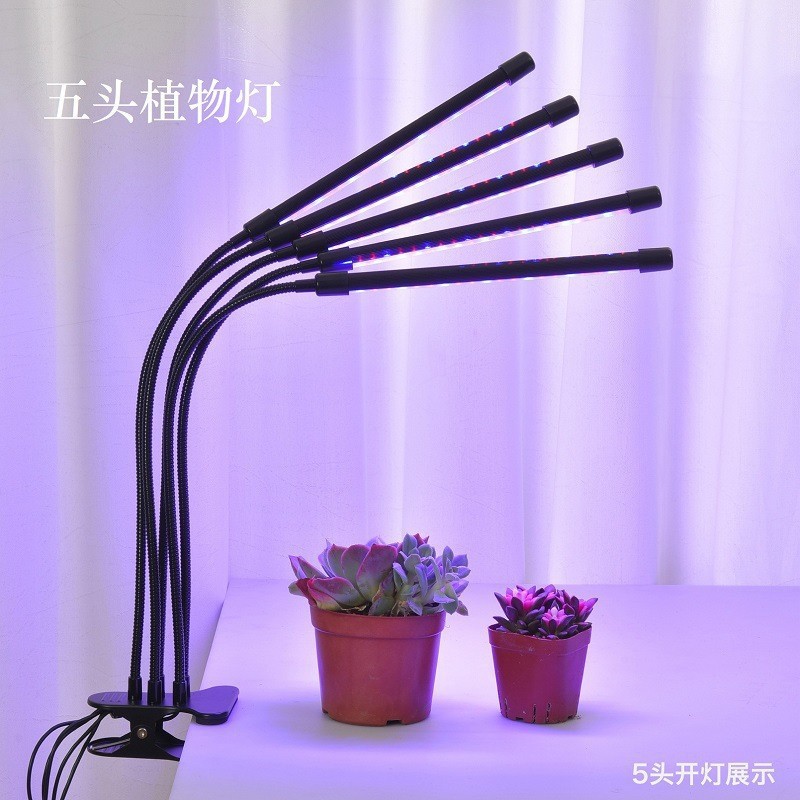 5-in-1 클립 식물 램프