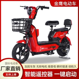 电动自行车;电动摩托车;其他电动车