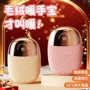 2025¿ëqplů֌ʽŮW}QYůlogo