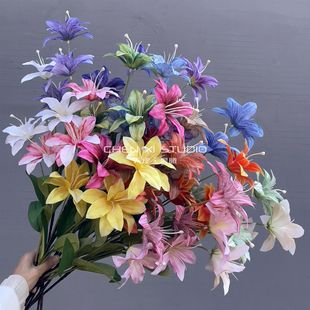����3�^�͹�3DС�ٺ� �ͮ��{��ɫ��c�ٺϻ��ٻ����յ��߼ҾӔ[��