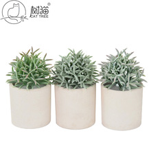 ��؈����С�辰17cm��ײ�ֲë�ٶ���ֲ���k�������b����ϲ�����