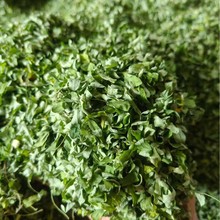 ��˼�衾���~���S��ֱ�N����b���l30�һ������