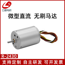 立盛无刷直流小电机 微型2430可调速正反转5线高转数马达
